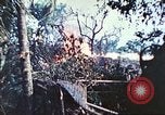 Image of 1st Tank Battalion Peleliu Palau Islands, 1944, second 43 stock footage video 65675063841