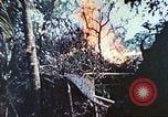 Image of 1st Tank Battalion Peleliu Palau Islands, 1944, second 45 stock footage video 65675063841