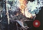 Image of 1st Tank Battalion Peleliu Palau Islands, 1944, second 46 stock footage video 65675063841