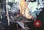Image of 1st Tank Battalion Peleliu Palau Islands, 1944, second 47 stock footage video 65675063841