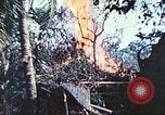 Image of 1st Tank Battalion Peleliu Palau Islands, 1944, second 48 stock footage video 65675063841