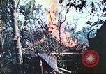 Image of 1st Tank Battalion Peleliu Palau Islands, 1944, second 49 stock footage video 65675063841