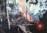Image of 1st Tank Battalion Peleliu Palau Islands, 1944, second 50 stock footage video 65675063841