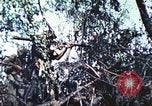 Image of 1st Tank Battalion Peleliu Palau Islands, 1944, second 51 stock footage video 65675063841