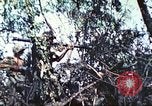 Image of 1st Tank Battalion Peleliu Palau Islands, 1944, second 52 stock footage video 65675063841