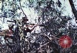 Image of 1st Tank Battalion Peleliu Palau Islands, 1944, second 53 stock footage video 65675063841