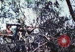 Image of 1st Tank Battalion Peleliu Palau Islands, 1944, second 54 stock footage video 65675063841