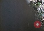 Image of 1st Tank Battalion Peleliu Palau Islands, 1944, second 62 stock footage video 65675063841