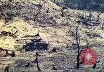 Standbild US Army 710th Tank Bataillon Peleliu Palau Inseln, 1944, aus Sekunde 42 historischem Filmmaterial Videoclip 65675063842