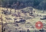 Standbild US Army 710th Tank Bataillon Peleliu Palau Inseln, 1944, aus Sekunde 48 historischem Filmmaterial Videoclip 65675063842