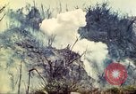 Standbild US Army 710th Tank Bataillon Peleliu Palau Inseln, 1944, aus Sekunde 55 historischem Filmmaterial Videoclip 65675063842