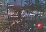 Standbild 1 Tank Bataillon Peleliu Palau Inseln, 1944, aus Sekunde 24 historischem Filmmaterial Videoclip 65675063843