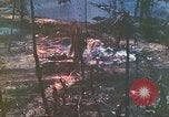 Standbild 1 Tank Bataillon Peleliu Palau Inseln, 1944, aus Sekunde 26 historischem Filmmaterial Videoclip 65675063843