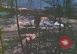 Standbild 1 Tank Bataillon Peleliu Palau Inseln, 1944, aus Sekunde 28 historischem Filmmaterial Videoclip 65675063843