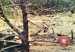 Standbild 1 Tank Bataillon Peleliu Palau Inseln, 1944, aus Sekunde 46 historischem Filmmaterial Videoclip 65675063843