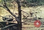 Standbild 1 Tank Bataillon Peleliu Palau Inseln, 1944, aus Sekunde 47 historischem Filmmaterial Videoclip 65675063843