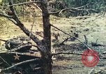 Standbild 1 Tank Bataillon Peleliu Palau Inseln, 1944, aus Sekunde 48 historischem Filmmaterial Videoclip 65675063843