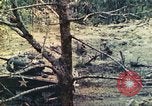 Standbild 1 Tank Bataillon Peleliu Palau Inseln, 1944, aus Sekunde 49 historischem Filmmaterial Videoclip 65675063843
