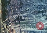 Standbild 1 Tank Bataillon Peleliu Palau Inseln, 1944, aus Sekunde 50 historischem Filmmaterial Videoclip 65675063843