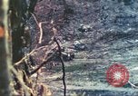 Standbild 1 Tank Bataillon Peleliu Palau Inseln, 1944, aus Sekunde 52 historischem Filmmaterial Videoclip 65675063843