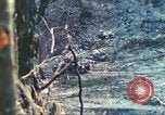 Standbild 1 Tank Bataillon Peleliu Palau Inseln, 1944, aus Sekunde 53 historischem Filmmaterial Videoclip 65675063843