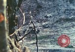 Standbild 1 Tank Bataillon Peleliu Palau Inseln, 1944, aus Sekunde 54 historischem Filmmaterial Videoclip 65675063843