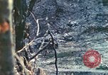 Standbild 1 Tank Bataillon Peleliu Palau Inseln, 1944, aus Sekunde 55 historischem Filmmaterial Videoclip 65675063843