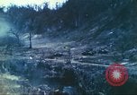 Standbild 1 Tank Bataillon Peleliu Palau Inseln, 1944, aus Sekunde 56 historischem Filmmaterial Videoclip 65675063843