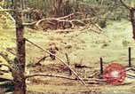 Standbild 1 Tank Bataillon Peleliu Palau Inseln, 1944, aus Sekunde 10 historischem Filmmaterial Videoclip 65675063844