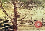 Standbild 1 Tank Bataillon Peleliu Palau Inseln, 1944, aus Sekunde 11 historischem Filmmaterial Videoclip 65675063844