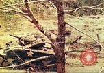 Standbild 1 Tank Bataillon Peleliu Palau Inseln, 1944, aus Sekunde 12 historischem Filmmaterial Videoclip 65675063844