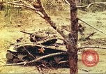 Standbild 1 Tank Bataillon Peleliu Palau Inseln, 1944, aus Sekunde 13 historischem Filmmaterial Videoclip 65675063844