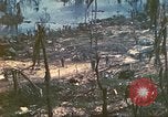 Standbild 1 Tank Bataillon Peleliu Palau Inseln, 1944, aus Sekunde 27 historischem Filmmaterial Videoclip 65675063844
