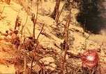 Standbild 710th Tank Bataillon Peleliu Palau Inseln, 1944, aus Sekunde 25 historischem Filmmaterial Videoclip 65675063845