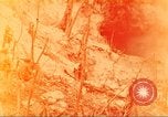 Standbild 710th Tank Bataillon Peleliu Palau Inseln, 1944, aus Sekunde 26 historischem Filmmaterial Videoclip 65675063845