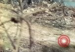 Standbild 710th Tank Bataillon Peleliu Palau Inseln, 1944, aus Sekunde 39 historischem Filmmaterial Videoclip 65675063845