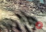 Standbild 710th Tank Bataillon Peleliu Palau Inseln, 1944, aus Sekunde 40 historischem Filmmaterial Videoclip 65675063845