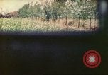 Image of 4th Tank Battalion Tinian Island Mariana Islands, 1944, second 4 stock footage video 65675063856