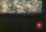 Image of 4th Tank Battalion Tinian Island Mariana Islands, 1944, second 9 stock footage video 65675063856