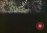 Image of 4th Tank Battalion Tinian Island Mariana Islands, 1944, second 10 stock footage video 65675063856