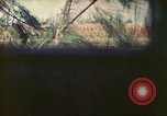 Image of 4th Tank Battalion Tinian Island Mariana Islands, 1944, second 13 stock footage video 65675063856