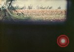 Image of 4th Tank Battalion Tinian Island Mariana Islands, 1944, second 14 stock footage video 65675063856