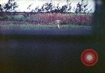 Image of 4th Tank Battalion Tinian Island Mariana Islands, 1944, second 44 stock footage video 65675063856