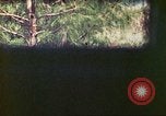 Image of 4th Tank Battalion Tinian Island Mariana Islands, 1944, second 49 stock footage video 65675063856