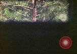 Image of 4th Tank Battalion Tinian Island Mariana Islands, 1944, second 50 stock footage video 65675063856