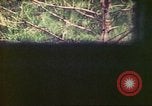 Image of 4th Tank Battalion Tinian Island Mariana Islands, 1944, second 51 stock footage video 65675063856