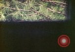 Image of 4th Tank Battalion Tinian Island Mariana Islands, 1944, second 52 stock footage video 65675063856