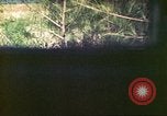 Image of 4th Tank Battalion Tinian Island Mariana Islands, 1944, second 54 stock footage video 65675063856