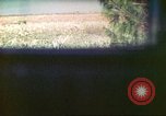Image of 4th Tank Battalion Tinian Island Mariana Islands, 1944, second 58 stock footage video 65675063856