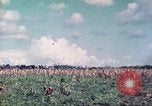 Image of 4th Tank Battalion Tinian Island Mariana Islands, 1944, second 7 stock footage video 65675063857